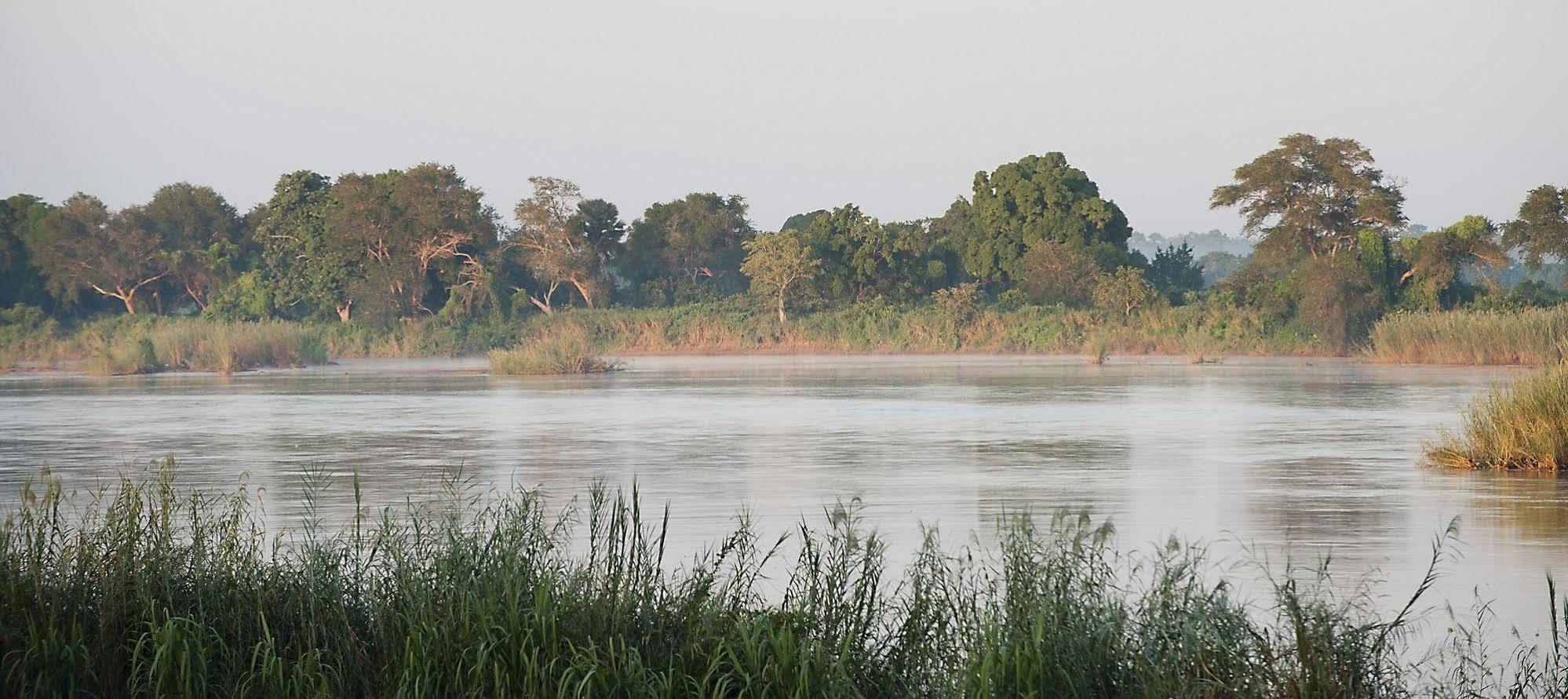 Selous Kinga Lodge Kwangwazi Exterior foto