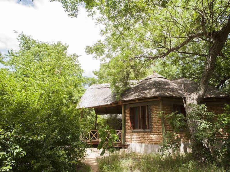 Selous Kinga Lodge Kwangwazi Exterior foto